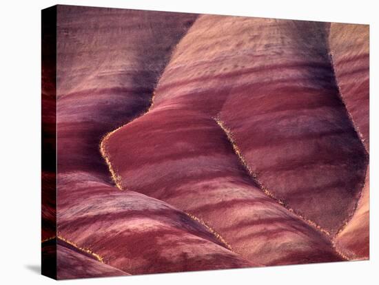 Flowers in the Gullies, Painted Hills, John Day Fossil Beds National Monument, Oregon, USA-Charles Sleicher-Premier Image Canvas