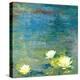 Flowers in the Pond-Andrew Michaels-Stretched Canvas