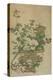 Flowers of the Four Seasons, Qing dynasty, 18th-19th century-Chinese School-Premier Image Canvas