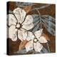 Flowers on Chocolate I-Maria Donovan-Stretched Canvas