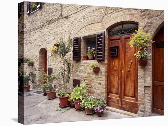 Flowers On The Wall, Tuscany, Italy-Monte Nagler-Premier Image Canvas