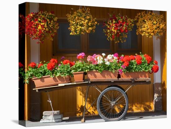 Flowers on Trolley, Arabba, Belluno Province, Trento, Italy, Europe-Frank Fell-Premier Image Canvas