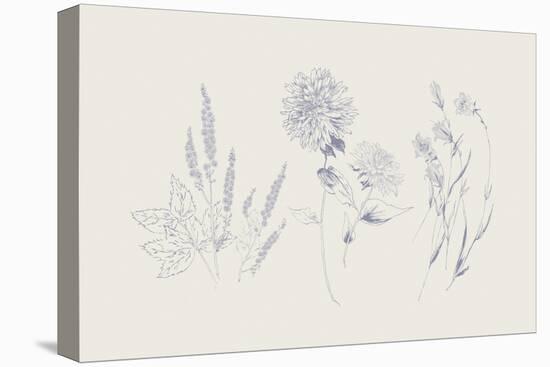 Flowers on White VIII Blue-Wild Apple Portfolio-Stretched Canvas