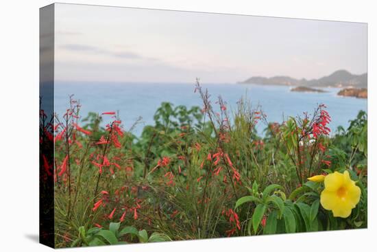 Flowers with a serene ocean background-Stacy Bass-Stretched Canvas