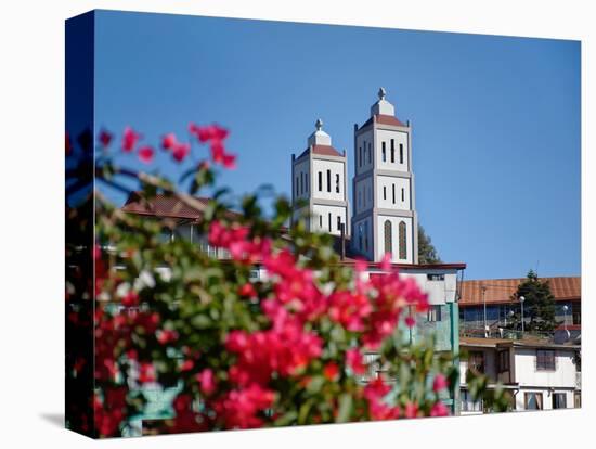 Flowers with church in the background, St. Vincent Ferrer Church, Baguio City, Luzon, Philippines-null-Premier Image Canvas