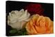 Flowers-Gordon Semmens-Premier Image Canvas