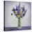 Flowers-Christopher Ryland-Premier Image Canvas