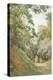 Flowery Glade-Alfred Parsons-Premier Image Canvas