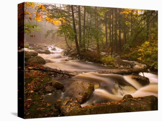 Flowing Streams Along the Appalachian Trail, East Arlington, Vermont, USA-Joe Restuccia III-Premier Image Canvas