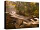 Flowing Streams Along the Appalachian Trail, East Arlington, Vermont, USA-Joe Restuccia III-Premier Image Canvas