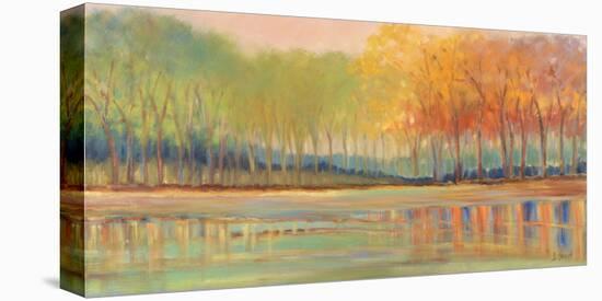 Flowing Streams Revisited-Libby Smart-Stretched Canvas