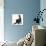 Fluffy Black Kitten, 12 Weeks Old, Stretching-Mark Taylor-Premier Image Canvas displayed on a wall