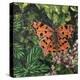 Flutter - Comma Butterfly on Japonica-Kirstie Adamson-Premier Image Canvas