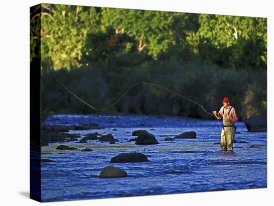 Fly Fisherman, USA-null-Premier Image Canvas