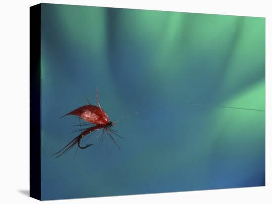 Fly Fishing Lure-null-Premier Image Canvas