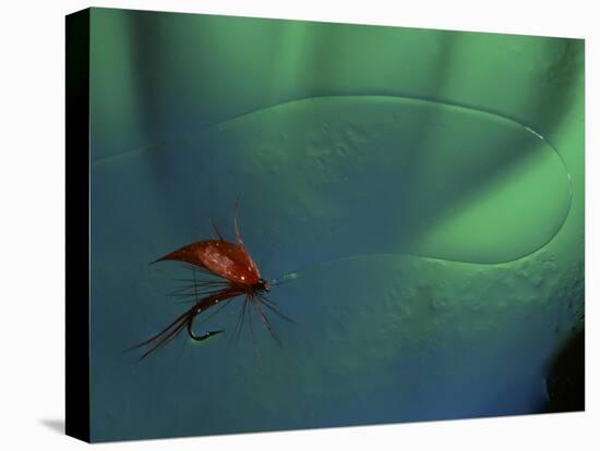 Fly Fishing Lure-null-Premier Image Canvas