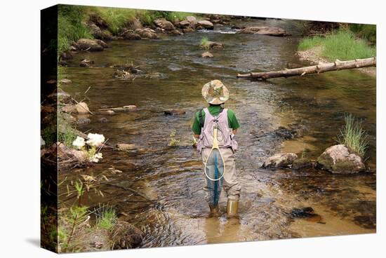 Fly Fishing on the Creek-null-Stretched Canvas