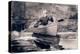 Fly Fishing, Saranac-Winslow Homer-Premier Image Canvas