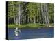 Fly Fishing the Madison River in Yellowstone National Park, Montana, Usa-David R. Frazier-Premier Image Canvas
