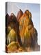 Fly Geyser, Black Rock Desert, Nevada, USA-Cathy & Gordon Illg-Premier Image Canvas