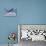 Fly High Bald Eagle-Jai Johnson-Premier Image Canvas displayed on a wall