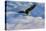 Fly High Bald Eagle-Jai Johnson-Premier Image Canvas