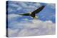 Fly High Bald Eagle-Jai Johnson-Premier Image Canvas