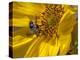 Fly inside sunflower-Michael Scheufler-Premier Image Canvas