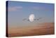 Fly Me to the Moon-Adrian Campfield-Premier Image Canvas