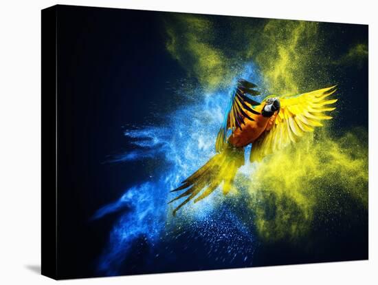 Flying Ara Parrot over Colourful Powder Explosion-NejroN Photo-Premier Image Canvas