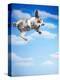 Flying Bulldog Puppy-Lew Robertson-Premier Image Canvas