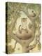 Flying Cat, 1005-Kestutis Kasparavicius-Premier Image Canvas