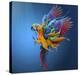 Flying Colours-Sulaiman Almawash-Stretched Canvas