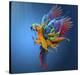 Flying Colours-Sulaiman Almawash-Stretched Canvas