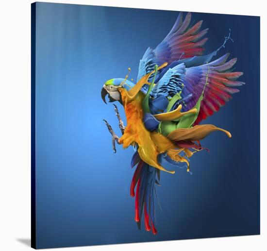 Flying Colours-Sulaiman Almawash-Stretched Canvas