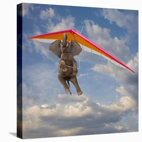 Flying Elephant-John Lund-Stretched Canvas