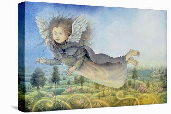 Flying Fairy over Landscape-Wayne Anderson-Premier Image Canvas