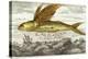 Flying Fish, 17th Century Artwork-Middle Temple Library-Premier Image Canvas