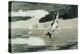 Flying Fish on Lake John-Winslow Homer-Premier Image Canvas