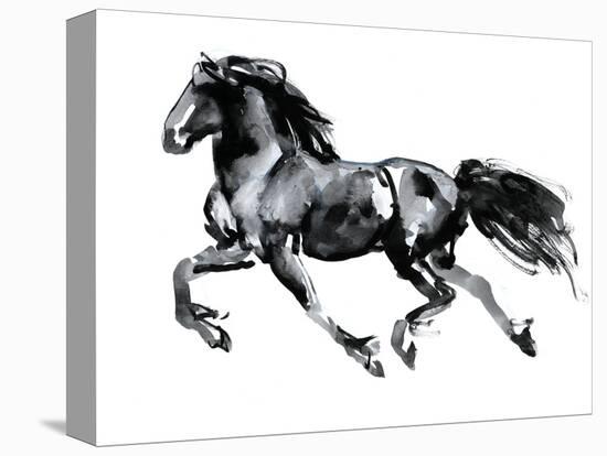 Flying Friesian, 2015-Mark Adlington-Premier Image Canvas