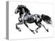 Flying Friesian, 2015-Mark Adlington-Premier Image Canvas