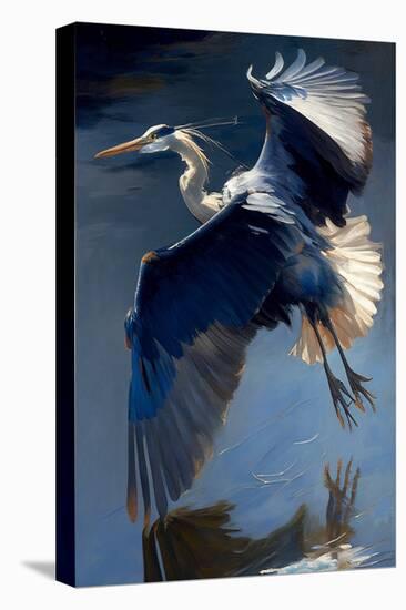 Flying Great Blue Heron-Vivienne Dupont-Stretched Canvas