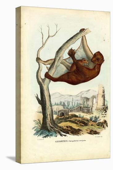 Flying Lemur, 1863-79-Raimundo Petraroja-Premier Image Canvas