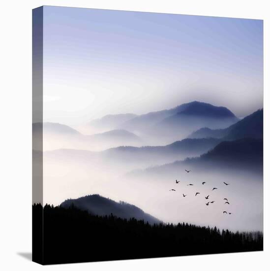 Flying over the Fog-Philippe Sainte-Laudy-Premier Image Canvas