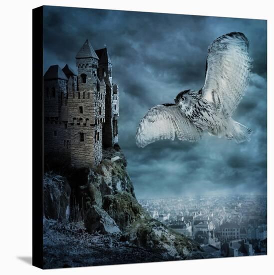 Flying Owl Bird-egal-Stretched Canvas