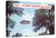 Flying Saucers are Real, Retro-null-Stretched Canvas