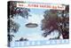 Flying Saucers are Real, Sierra Madre, California-null-Stretched Canvas