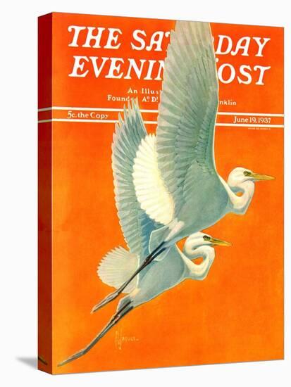 "Flying Storks," Saturday Evening Post Cover, June 19, 1937-Francis Lee Jaques-Premier Image Canvas