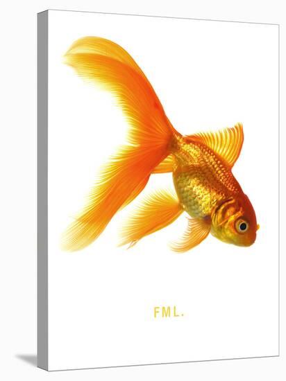 FML-Mark Mawson-Stretched Canvas