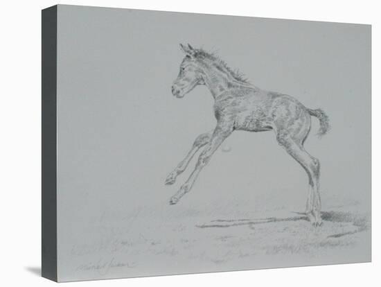 Foal Sketch-Michael Jackson-Premier Image Canvas